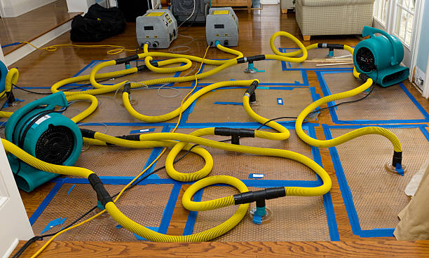 Professional Water Damage Repair technician working in Lone Tree, IA